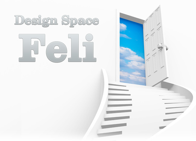 Design Space Feli